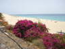 Fuerteventura 2009 150_Bildgr��e �ndern