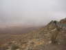 Fuerteventura 2009 314_Bildgr��e �ndern