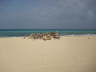 Fuerteventura 2009 343_Bildgr��e �ndern