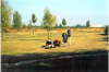 Schleppen